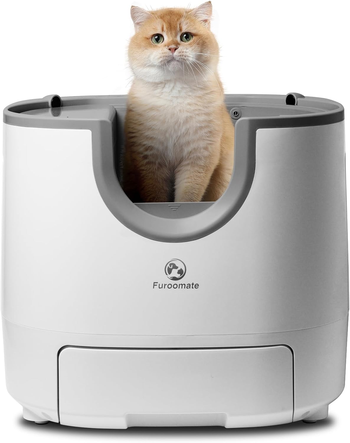 Self-Cleaning Open-Top Litter Box for Multiple Cats