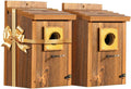 2pk Premium Bluebird House Cedar Nestbox - Durable Outdoor Pair
