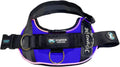 LED Light Up Dog Harness 2.0 - Rechargeable Safety Light