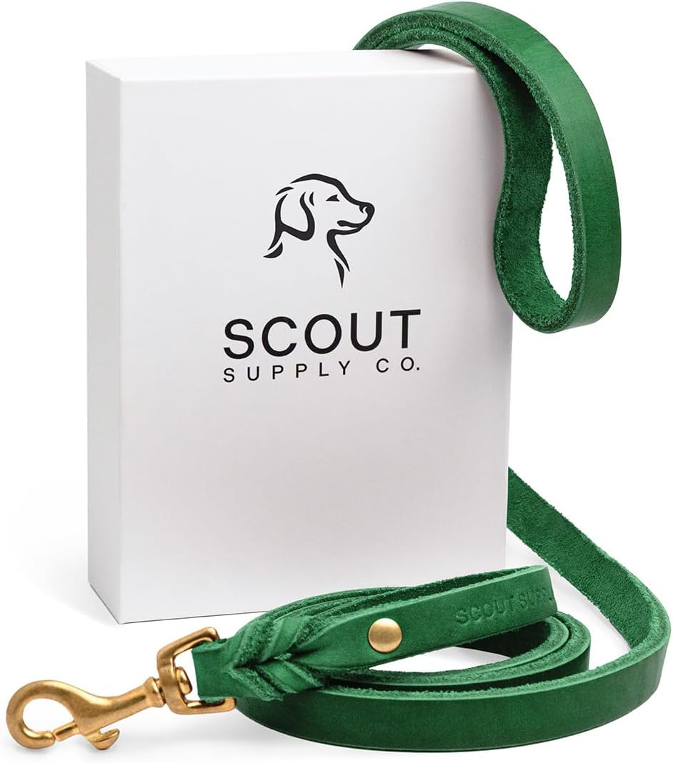 Scout Supply Classic Leather Dog Leash for Stylish Adventures