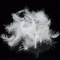 Bulk Goose Down Feather Stuffing 2Lb - Refill, Repair, Fluff