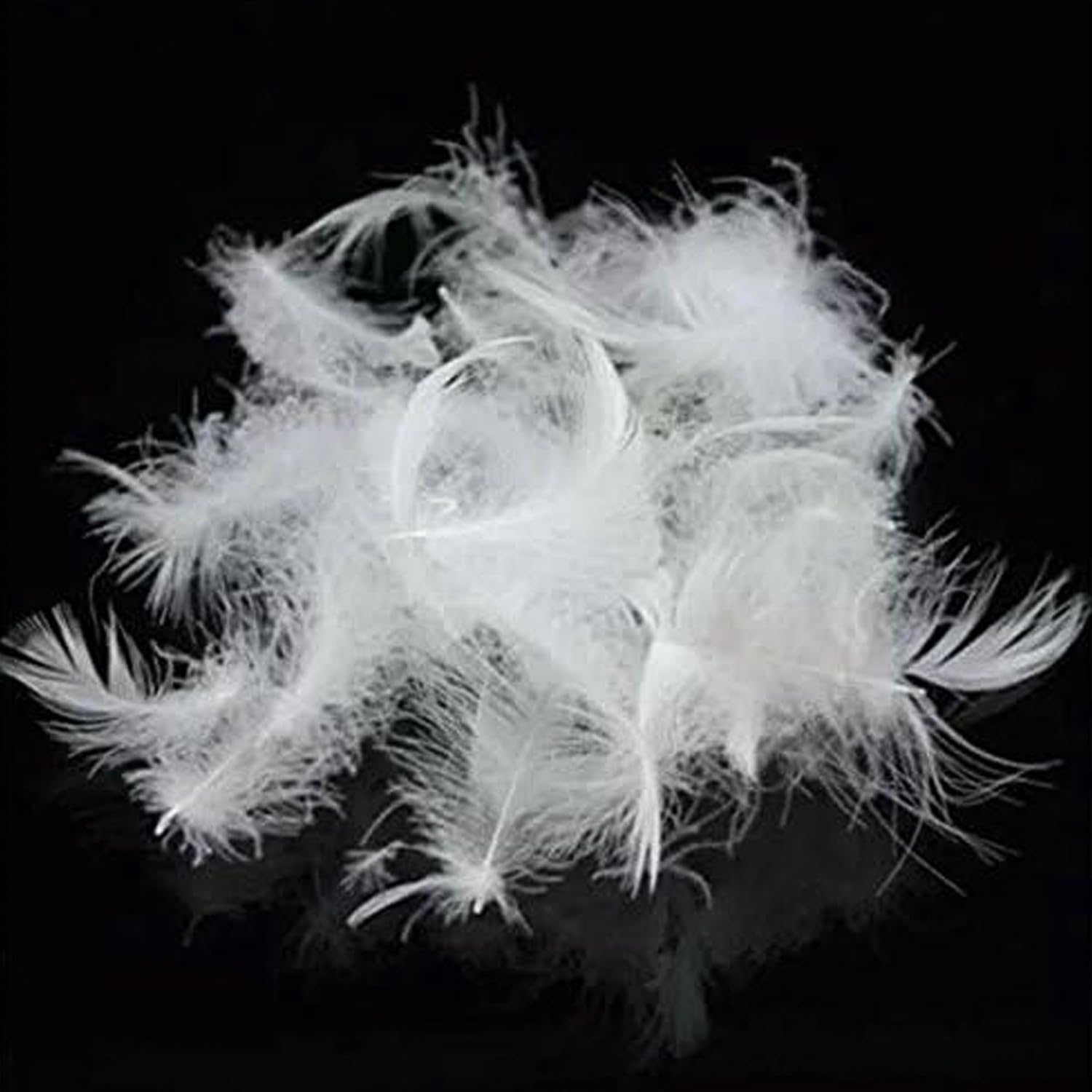 Bulk Goose Down Feather Stuffing for DIY Pillows and Cushions