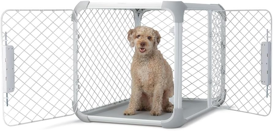 DIGGS Evolv Dog Crate - Stylish, Safe, and Modular Design