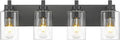 4-Light Bathroom Light Fixtures Black Vanity Light with Clear Glass