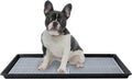 HQ4US Dog Pee Pad Holder Tray with Grate for Medium Dogs
