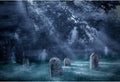 Witch Haunted Forest 10x8ft Halloween Backdrop - Creepy Photography