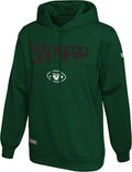 NFL Men's Scoreboard Pullover Performance Hoodie - Team Pride