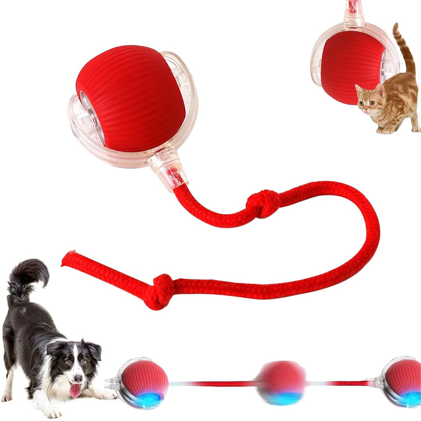 Automatic Rolling Dog Toy, Chewie Viral Fun!