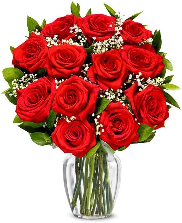 One Dozen Long Stemmed Red Roses with Glass Vase for Any Occasion