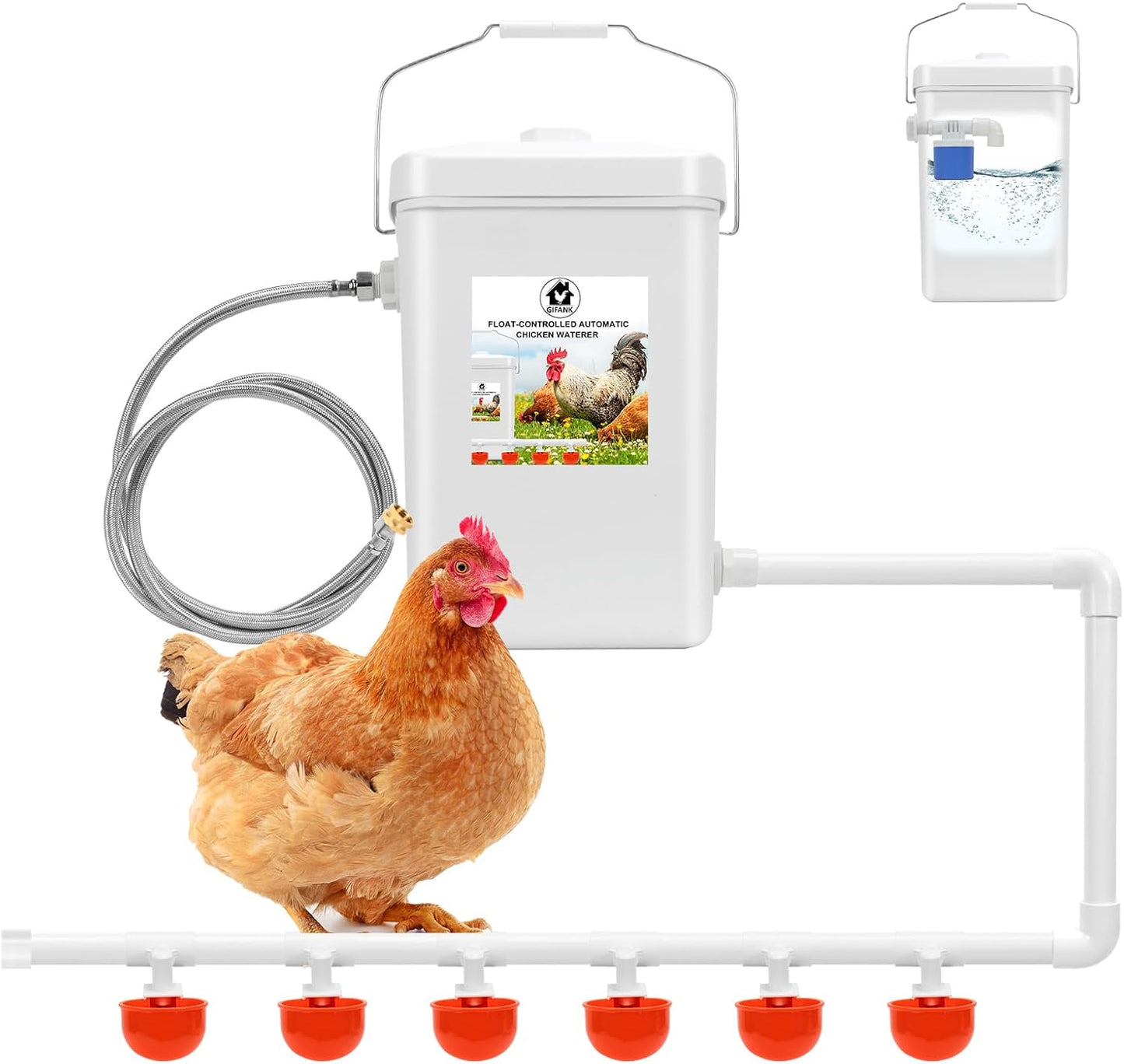 3 Gallon Automatic Poultry Waterer with Float Control