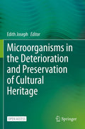 Microorganisms in the Deterioration and Preservation of Cultural