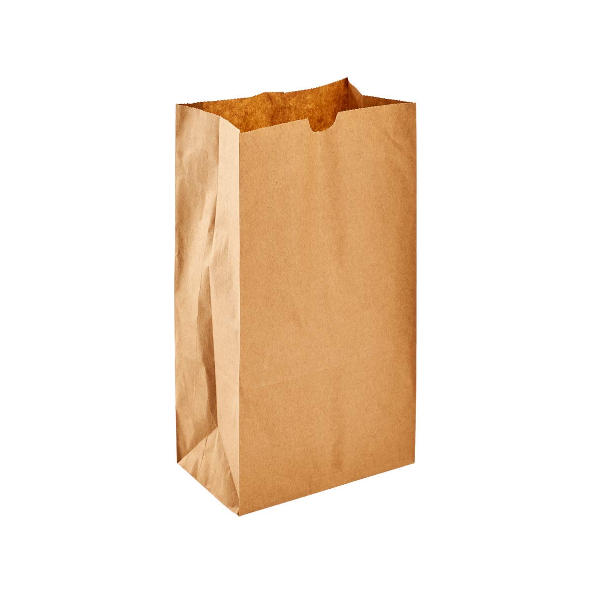 Karat 6lb Paper Lunch Bags - Sturdy, Eco-Friendly & Versatile