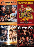 Cobra Kai - Season 1 2 3 4 & 5 DVD 4-Pack - Complete Series