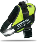 Personalized No-Pull Dog Harness with Name Patch - XS Green