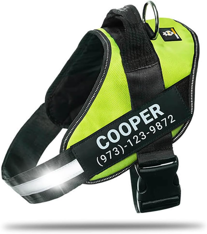 Personalized No-Pull Dog Harness for Safe and Comfortable Walks