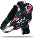 Personalized No-Pull Dog Harness with Name Patch - Camouflage Pink L