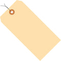 Aviditi 6 1/4in x 3 1/8in Manila Shipping Tags - Durable ID Tags