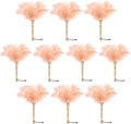 Ostrich Feather Duster 12 in Handheld Wooden Handle - Lightweight