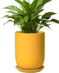 Plant Pot 8 Inch Ceramic Planter - Mid-Century Modern Yellow