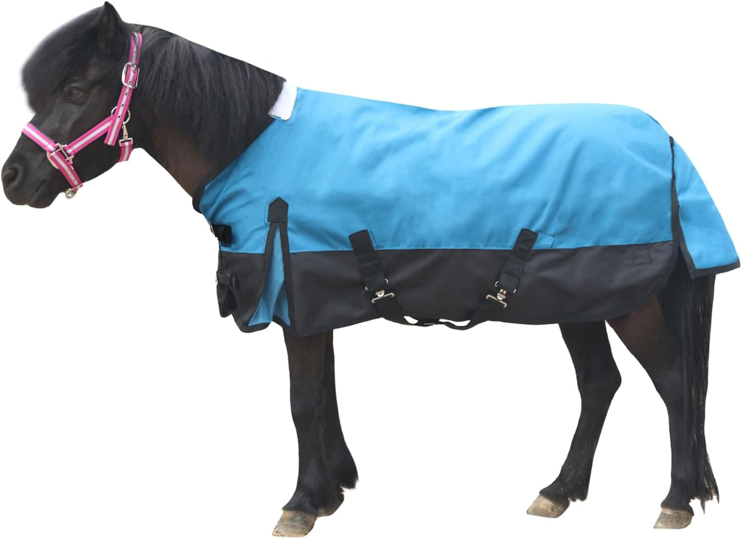 Gallopoff Lightweight Waterproof Turnout Blanket - 1200D, No Fill, Peacockblue, Mini Size 39 - Stay Dry & Cozy!