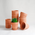 Terracotta Pots 4 in Pack of 12 - Small Clay Pots with Saucers