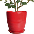 Ceramic Planter 10 in Round Red Pot - Modern Indoor Planter