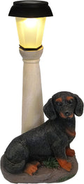 Solar Dachshund Garden Statue with Lantern - Warm White Light