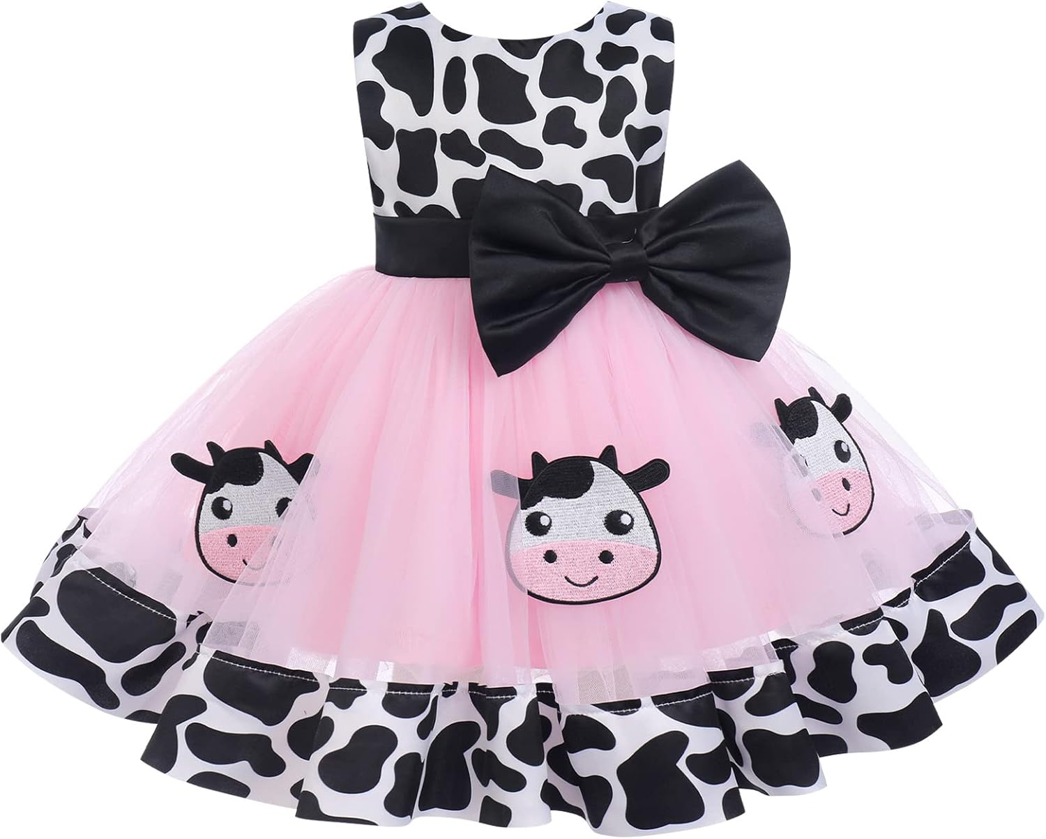Baby Girl Princess Dress for Cake Smash and Birthday Photoshoot