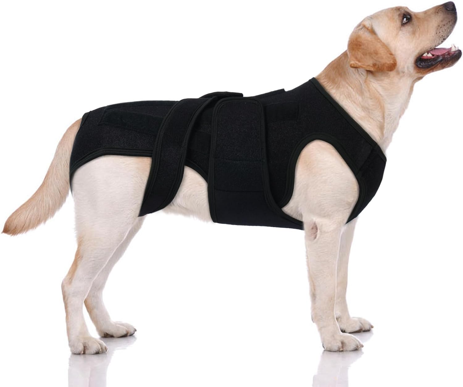 Post-Op Spinal Stability Wrap for Giant Dogs - 2XL Size