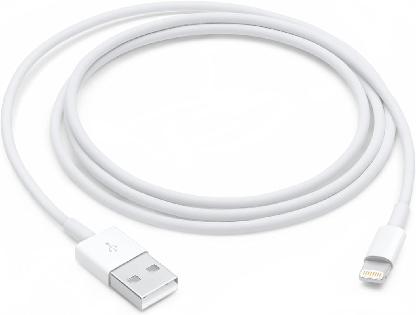 Fast Charge: Apple Lightning to USB Cable (1m)