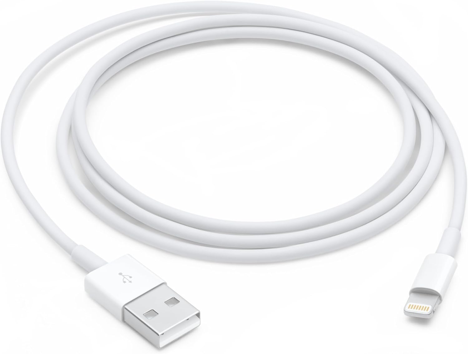 Fast Charge: Apple Lightning to USB Cable (1m)