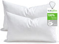 Feathers Down Pillow Inserts 14x22 Set of 2 - Soft Lofty Lumbar
