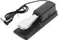 CC CAIHONG Sustain Pedal: Polarity Switch, 6.5mm Input, Ultimate Control
