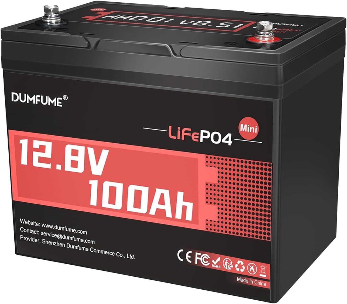 12V 100Ah Mini LiFePO4 Lithium Battery for RV and Solar Use