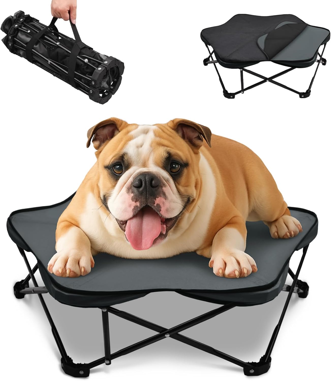 Pozico Small Elevated Dog Bed 26in Portable Cot for Pets