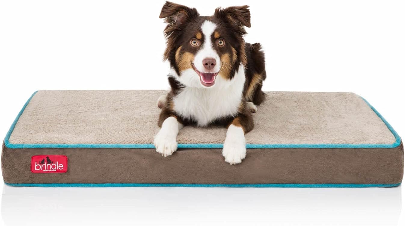 BRINDLE Waterproof Memory Foam Pet Bed for Ultimate Comfort