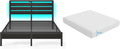 Rolanstar Bed Frame Queen Size with LED and Charging - Smart Storage