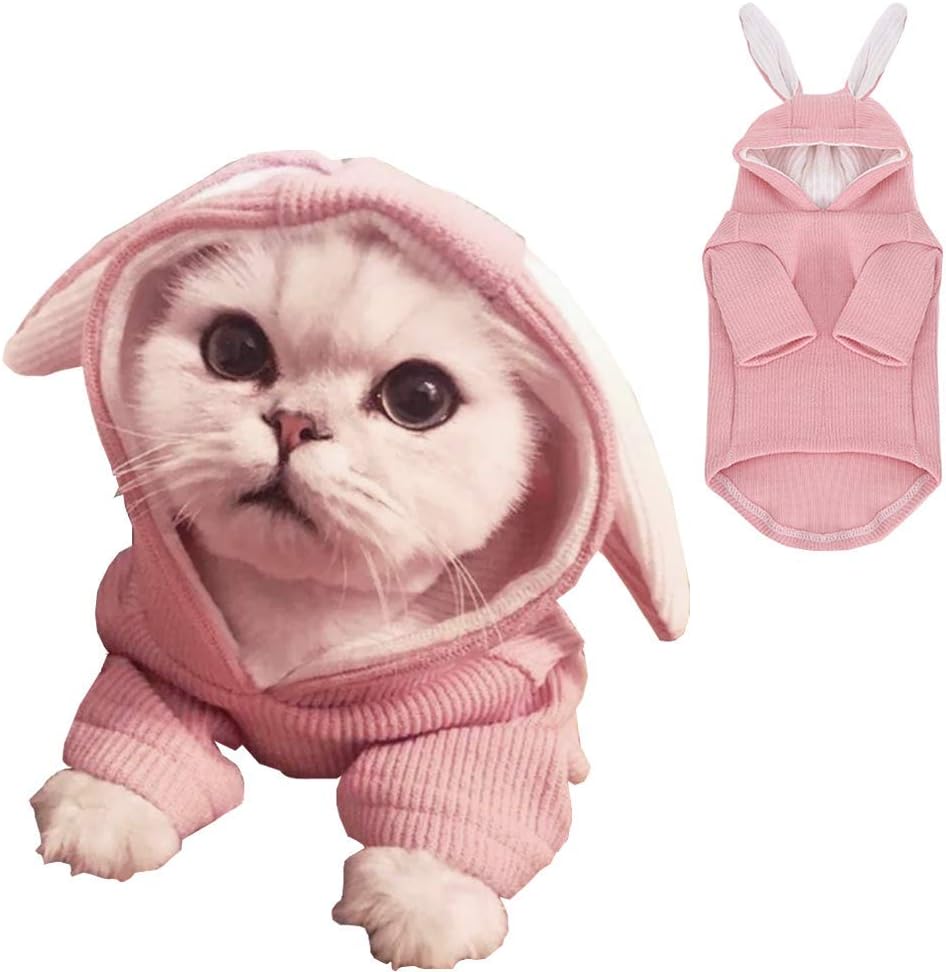 Adorable Bunny-Eared Dog Hoodie in Pink