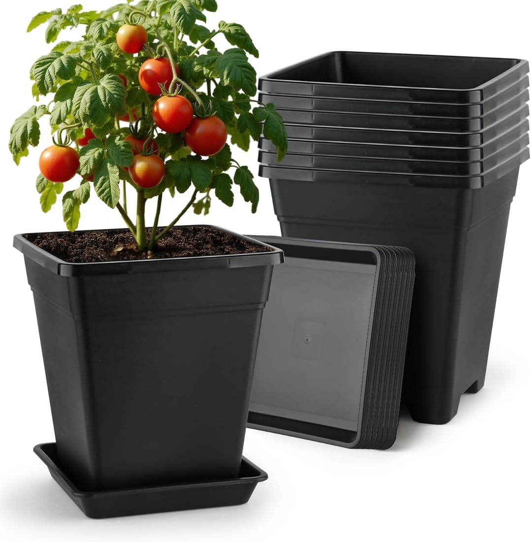 BTPLASTIK 9 Inch Square Planters for Indoor and Outdoor Use