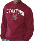 Adult Unisex Arch & Logo Gameday Crewneck Sweatshirt - Soft Cotton