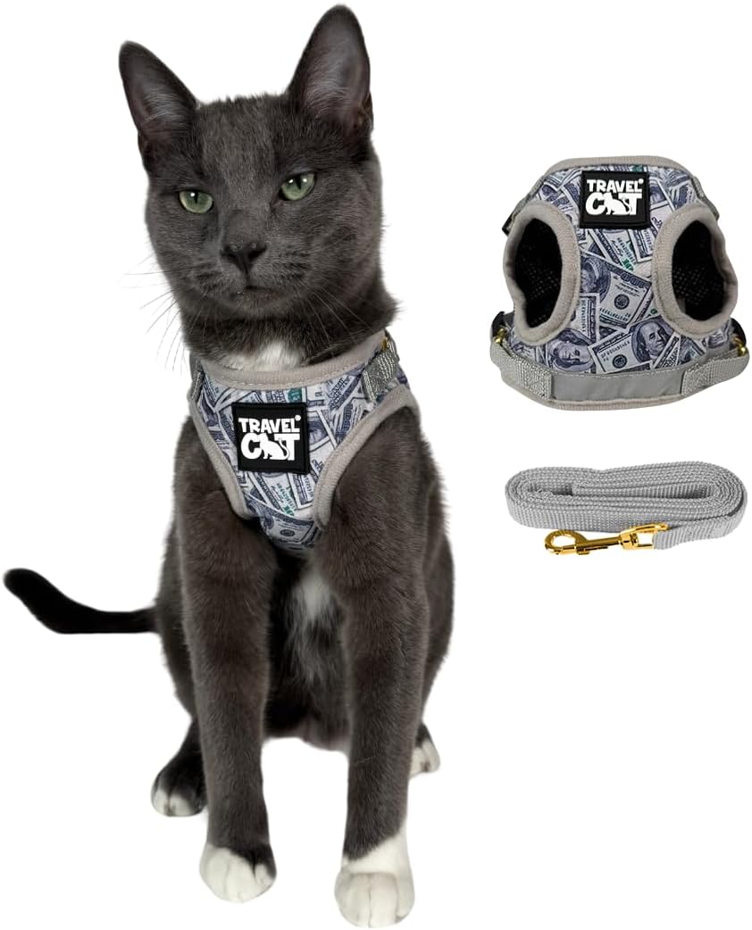 Travel Cat Harness and Leash Set for Stylish Outdoor Adventures