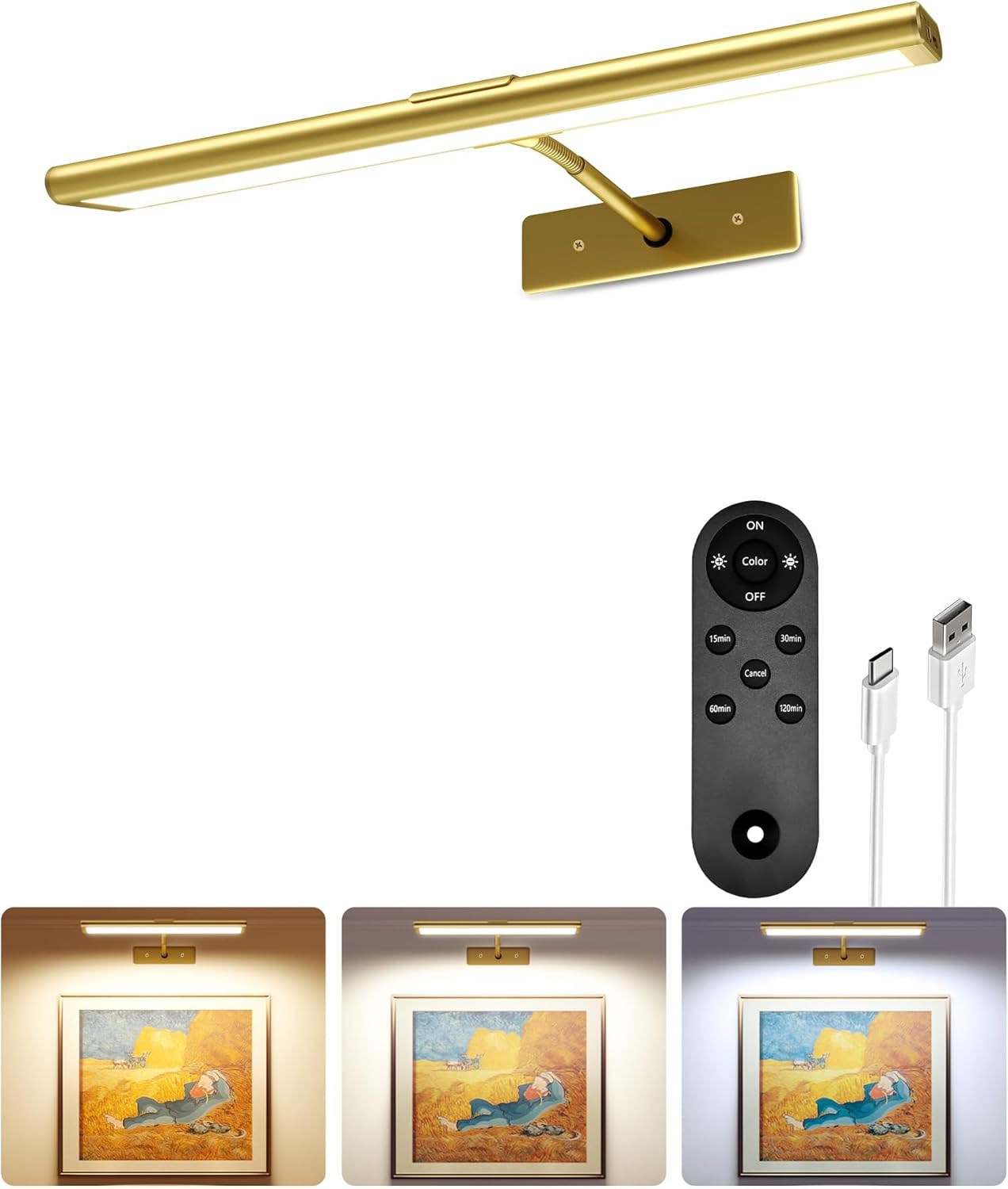 EZVALO Picture Light for Wall: Rechargeable LED Art Display