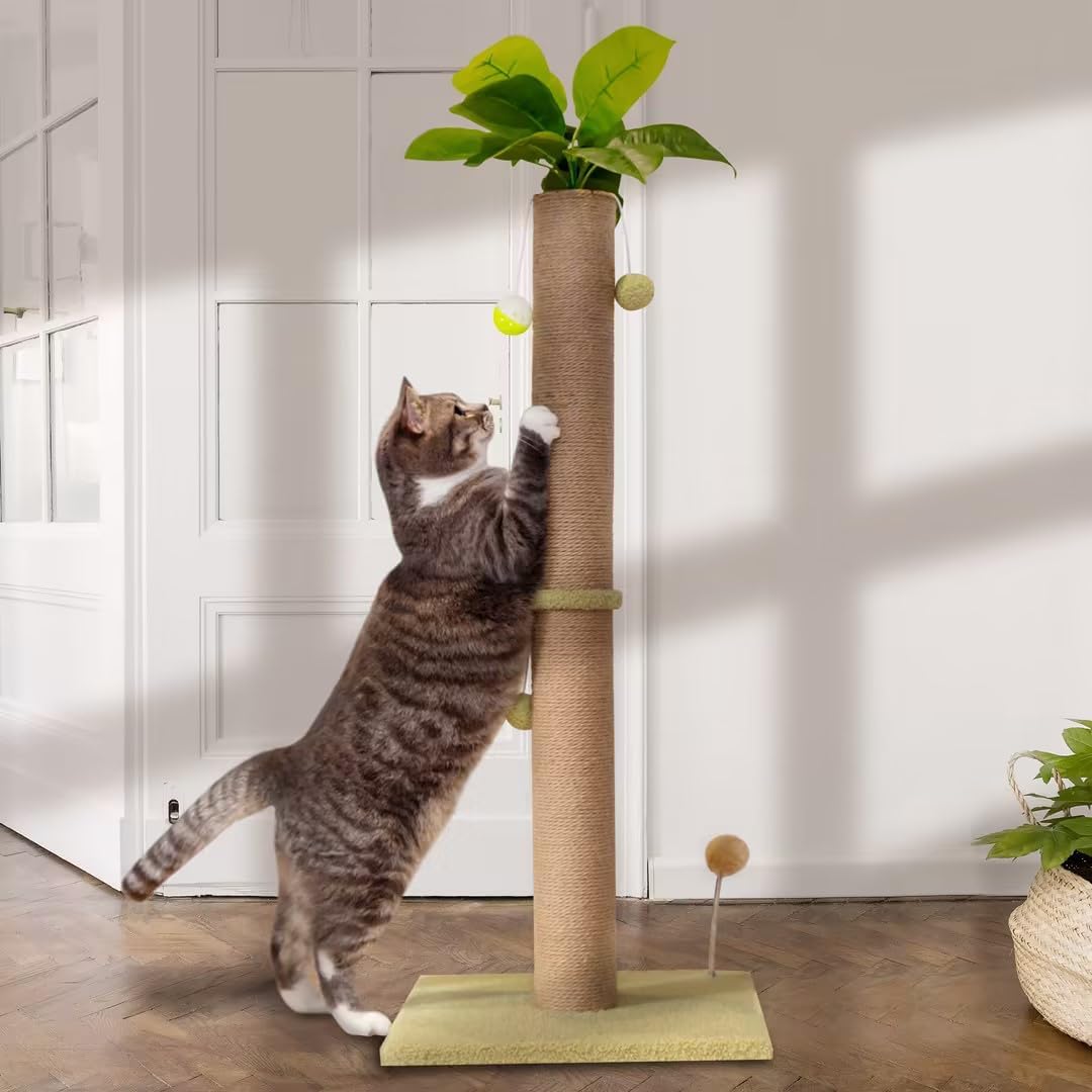 36 Inch Tall Cat Scratch Post for Indoor Cats with Sisal Rope