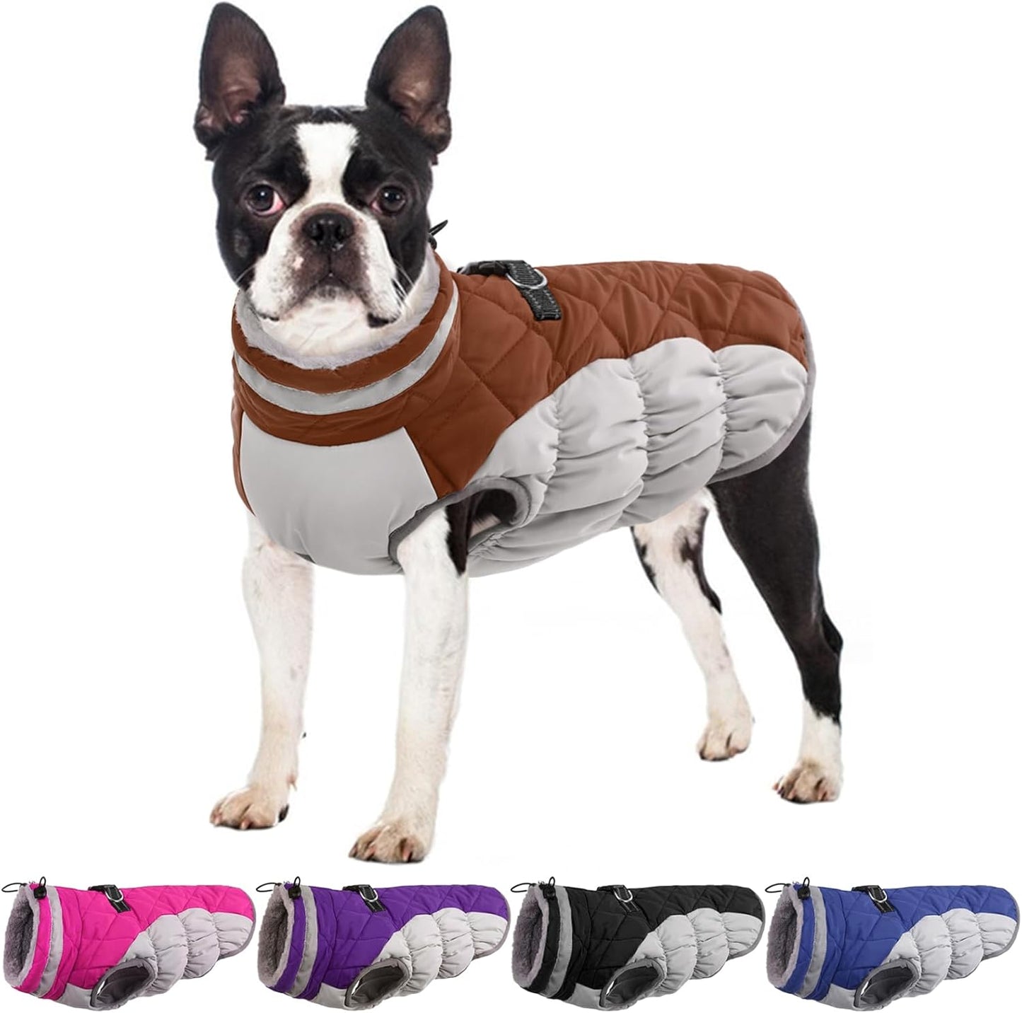 Winter Dog Coat for Large Dogs - Waterproof and Warm Jacket