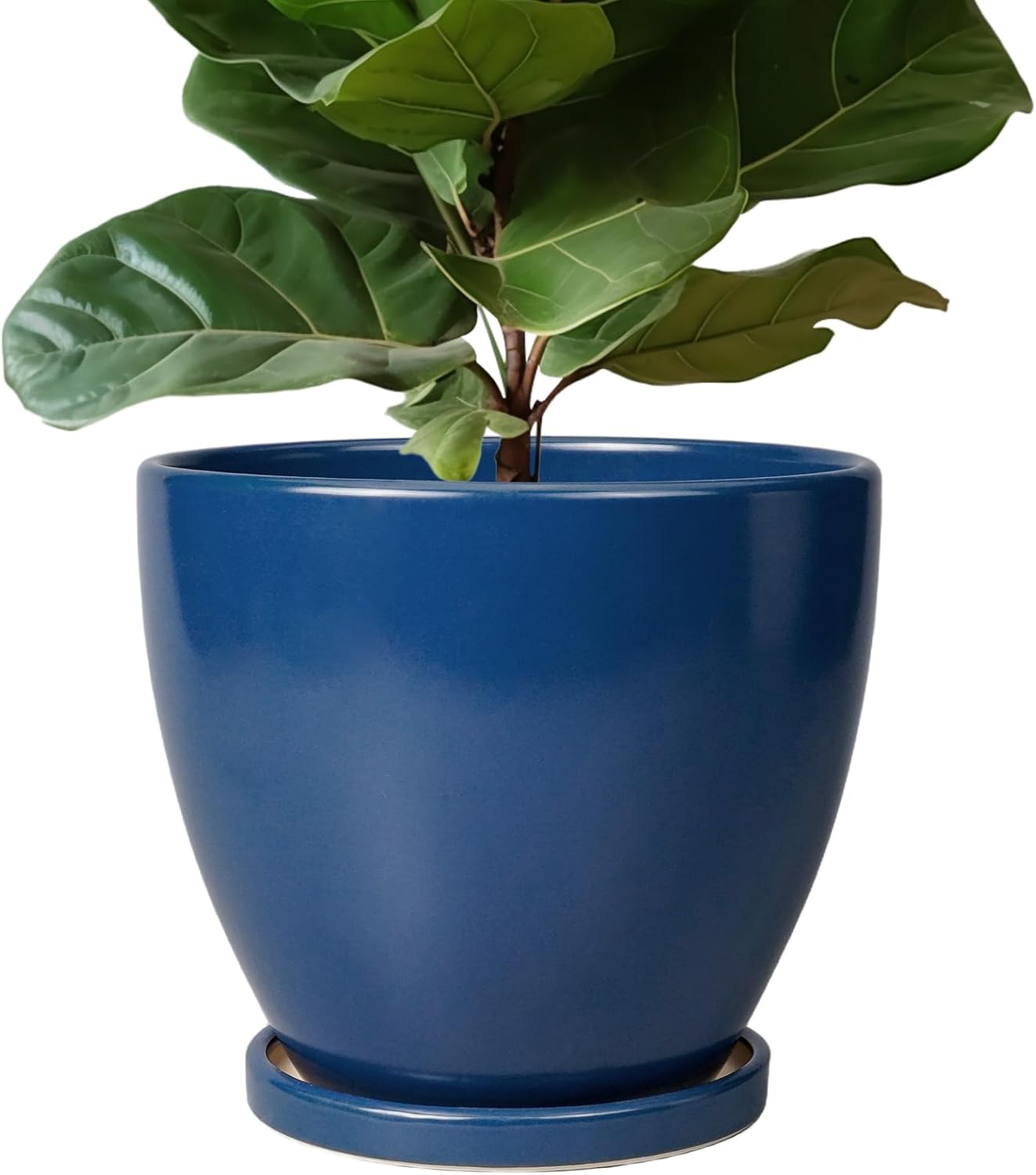 10 Inch Ceramic Plant Pot with Drainage Hole and Saucer for Decor