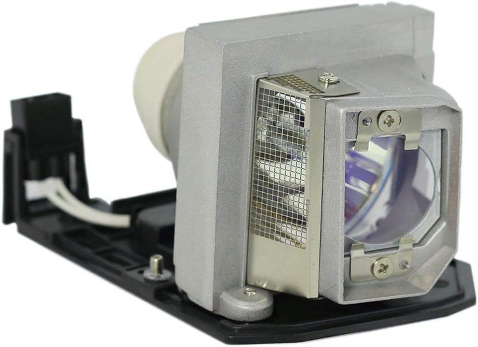 Optoma VDHDNUE Projector Lamp with Original Philips Bulb Inside