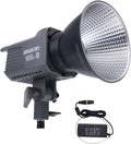 Amaran 100dS LED Video Light - High SSI 5500K Continuous Lighting