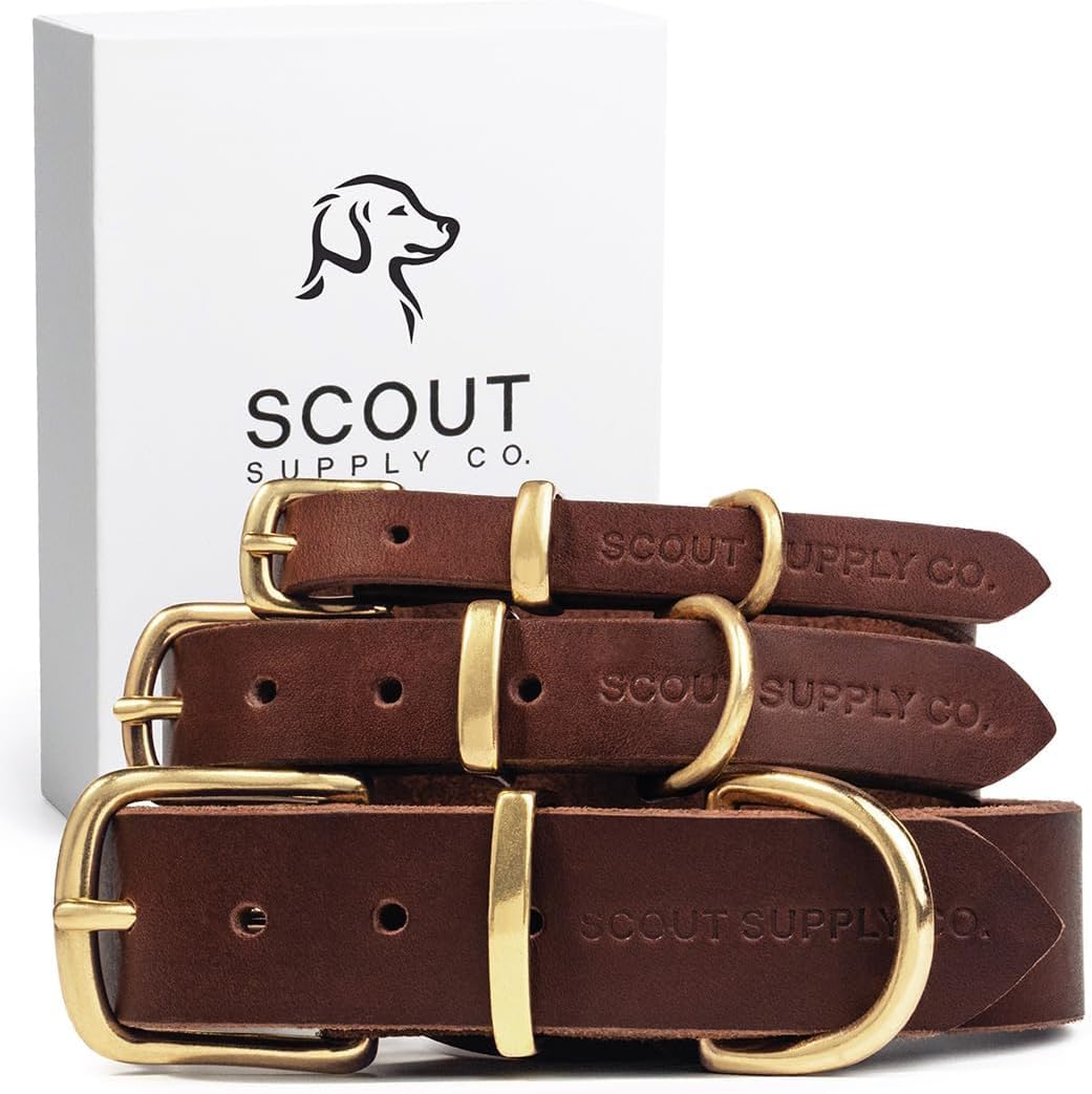 Classic Genuine Leather Dog Collar for All Dog Sizes and Breeds