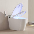 Smart Toilet with Bidet Built-In and Tank - Modern Comfort