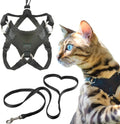 HoudiniTM Escape Proof Cat Harness and Leash Set - Large Cat Walking